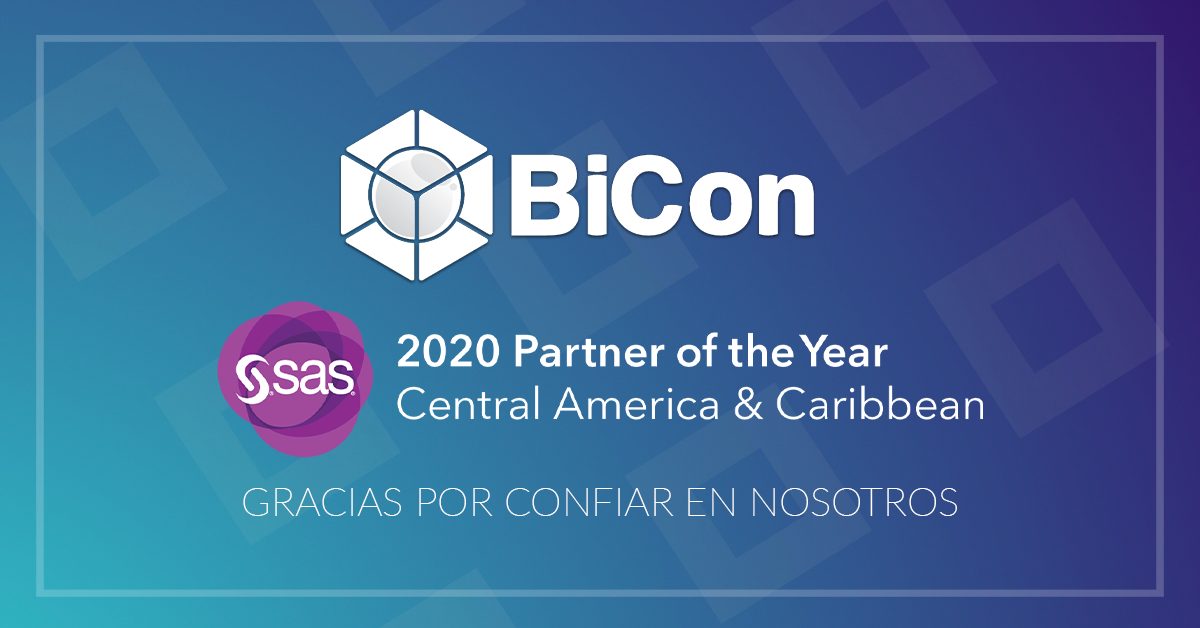 Bicongroup Partner of the year